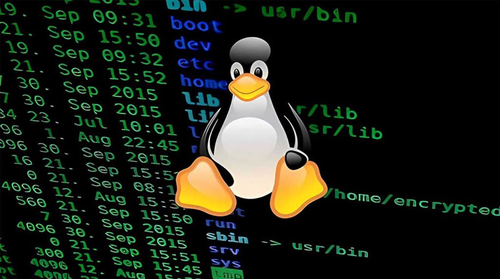 “Plague”: A New PAM Backdoor Targeting Linux Systems with Silent Credential Theft